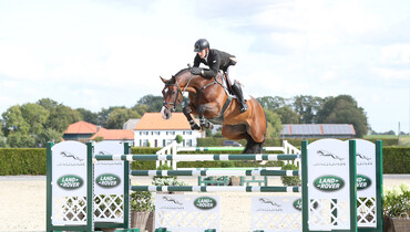 Holger Hetzel Sport Horse Sales presents: So Beautiful
