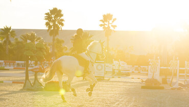 Postcard from the Mediterranean Equestrian Tour