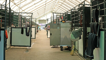 The Voice of the Grooms: Stable security – “They can’t just speak about it; they have to do something to change it!”