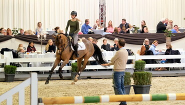 Holger Hetzel’s 15th International Sport Horse Sales: Strong interest for the auction collection