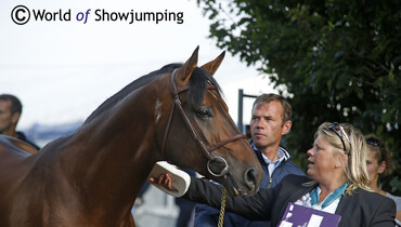 Aymeric de Ponnat gets fundraising help to try and secure Armitages Boy