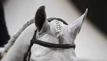 This weekend's CSI2* Grand Prix winners