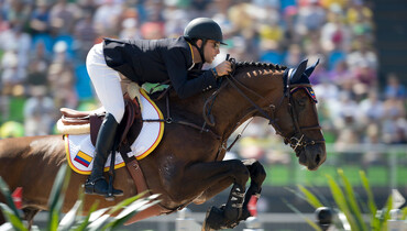 Stop looking for an extraordinary breeding or sport partner!