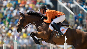 KWPN Select Sale: Promising jumping stallions with Olympic roots!