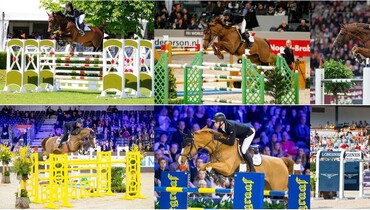 Foal Auction Prinsjesdag auctions six exclusive embryos through new platform Prinsjesdag Online