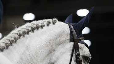 CSI2* Lexington International receives final approval to proceed in June