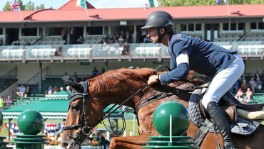 From youngster to international Grand Prix horse: Victorio Des Frotards