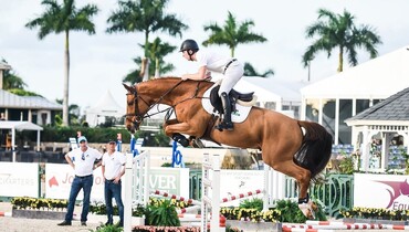 VDL Iowa top-seller at the WEF Sport Horse Auction