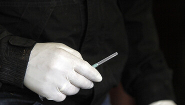 FEI Veterinary Epidemiology Working Group: Independent review on possible mandatory EHV vaccination to be conducted