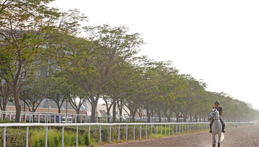 Postcard from CHI Al Shaqab