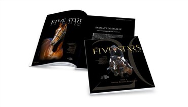 Horses are considered as true jewels for the biggest auction of straws and coverings in Europe