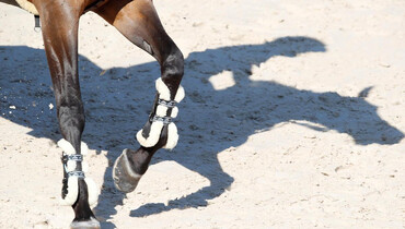 LGCT re-schedules upcoming events in Mexico, Miami and Shanghai due to Coronavirus outbreak