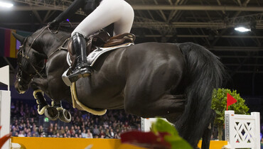 Felix Hassmann and Sig Chaccinus win CSI2* Grand Prix at Sentower Park