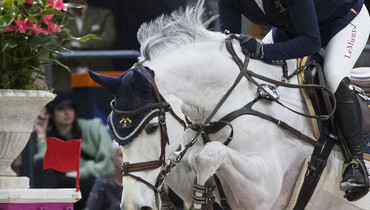 Sunday's CSI2* Grand Prix winners
