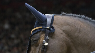 Helsinki International Horse Show's 2020-edition cancelled