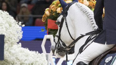 Longines FEI Jumping World Cup™  Sacramento cancelled for 2020