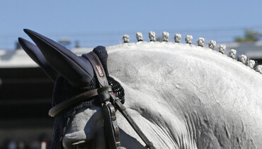 The 2020 Split Rock Jumping Tour hosts CSI2* Lexington International under Covid-19 protocol and guidelines