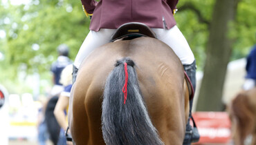 FEI reviewing measures to limit the impact of event cancellations