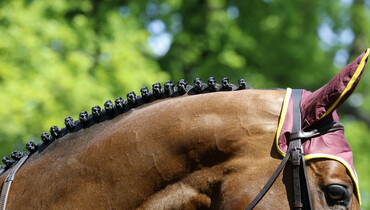 Jumping International de Chantilly cancels 2020-edition