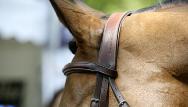 FEI recommends cancellation of FEI events due to Coronavirus