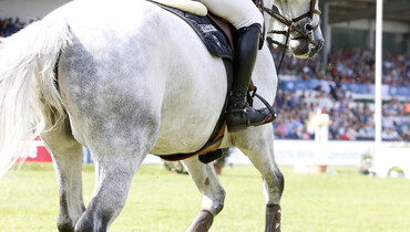 The 2021-edition of Dublin Horse Show cancelled