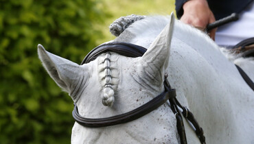 IOC EB confirms all equestrian disciplines and quotas for Paris 2024