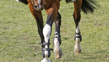 CSIO St.Gallen cancelled, the Longines FEI Nations Cup Europe Division 1 down to four legs