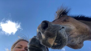 Marlen Schannwell: “Hang around with your horses instead of humans