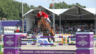 From youngster to international Grand Prix horse:  Comme Il Faut 5