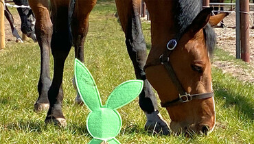 Happy Easter!