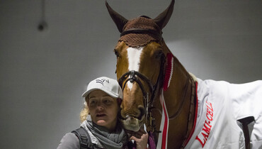 Jenny Ducoffre: “Igor is the most arrogant horse I have ever met”
