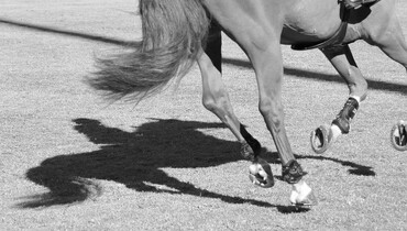 New LGCT and GCL partnership confirmed