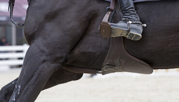 FEI Tribunal dismisses Twomey’s appeal over blood-on-the-flank elimination