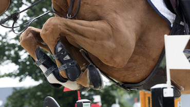 Abdullah Al Sharbatly wins the CSI3*-W Grand Prix in Riyadh