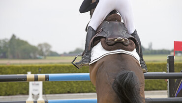 This week's CSI2* Grand Prix winners