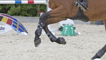 David Simpson and Foudre F best in the CSIO3* 1.50m Grand Prix in Prague