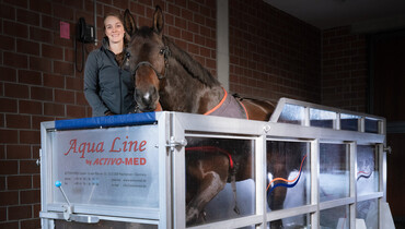 Activo-Med: The leading manufacturer of magnetic therapy products and aqua training supports systems for horses for more than 20 years