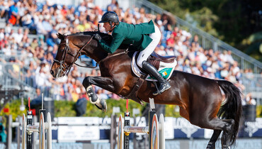 Vechta: The best for upper classes