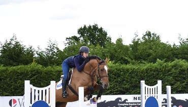 Billy Congo progeny takes top price in online auction