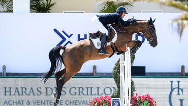 Gudrun Patteet wins the CSI2* Grand Prix at Hubside Jumping
