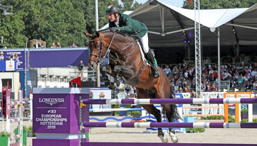 From youngster to international Grand Prix horse: Balou du Reventon