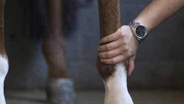 GoPro – part three: Tips & tricks on leg care from the world’s best grooms