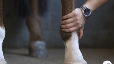 GoPro – part three: Tips & tricks on leg care from the world’s best grooms
