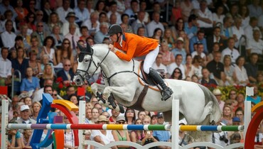Top showjumping genes in first KWPN Online Foal Auction