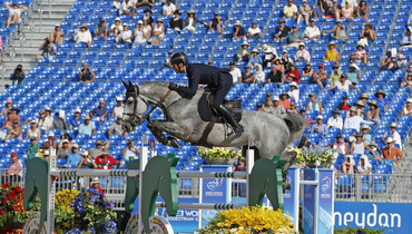 Harry Charles takes over the reins on Irenice Horta