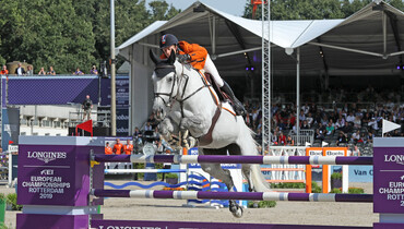 KWPN awards Dana Blue with the title 'Horse of the Year'