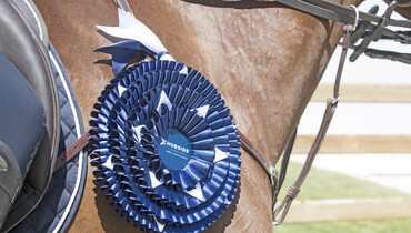 Organiser vows to resolve dispute with the FEI as 19 Hubside Jumping events are removed from the calendar due to unpaid prize money