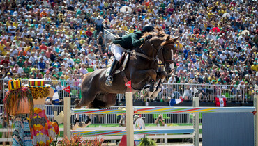 Olympic genes running through 3rd KWPN Online Foal Auction