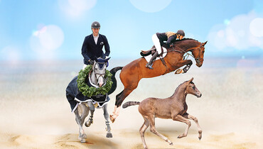 Breed, trade, and sport in one place - 1st Holsteiner Summer Event