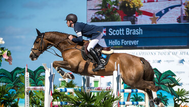 Oldenburg Foal Auction: Hello next superstar